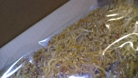 20170626222600268.jpg