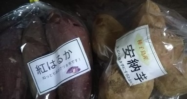 20210113170816750.jpg